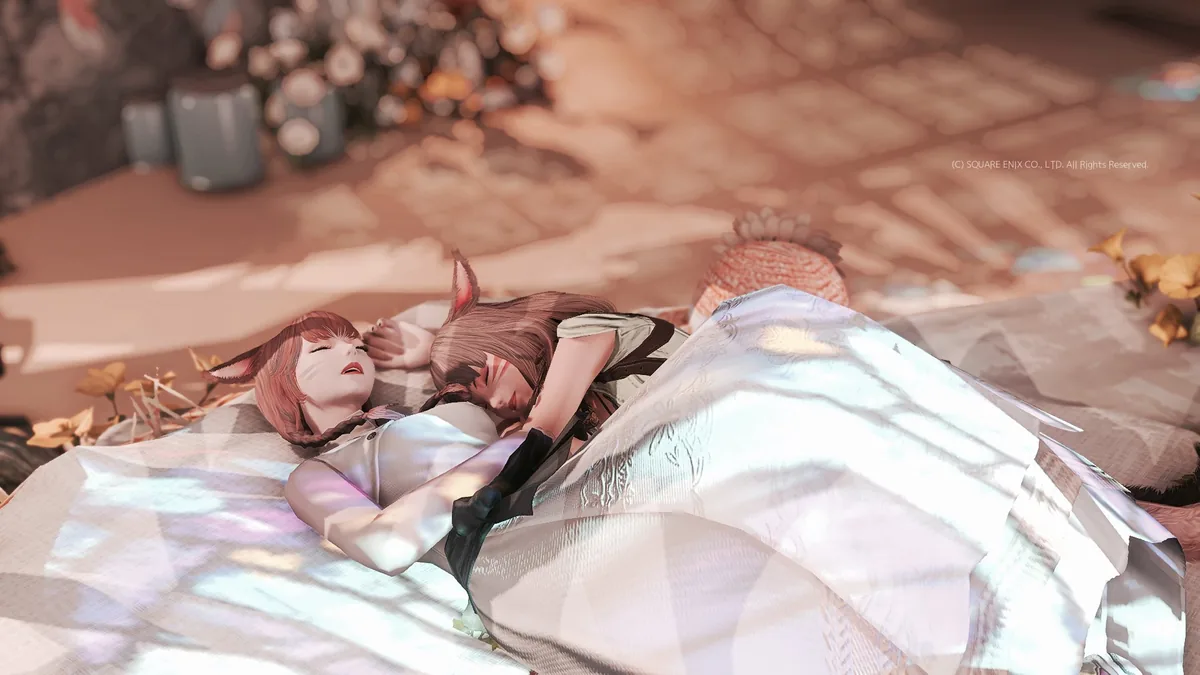 並んで横になるメスッテ