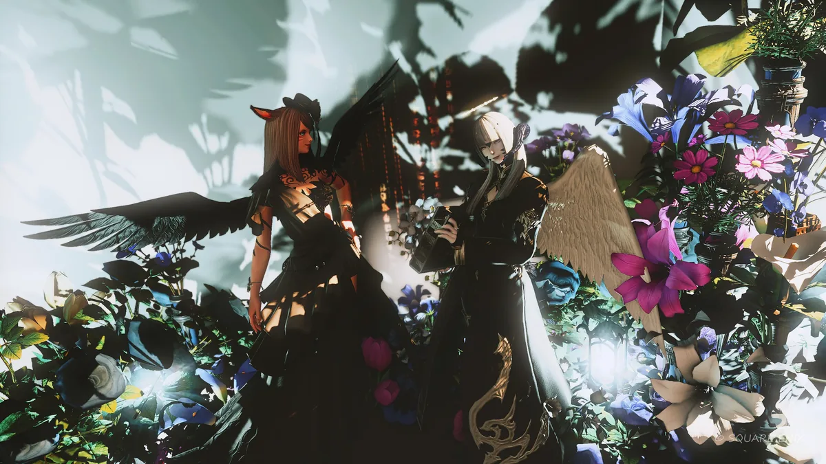 羽をもつふたり