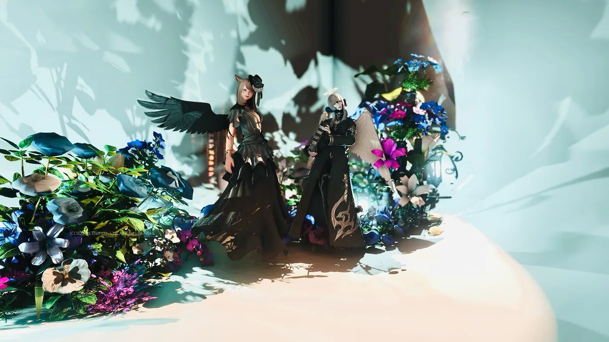 羽をもつふたり